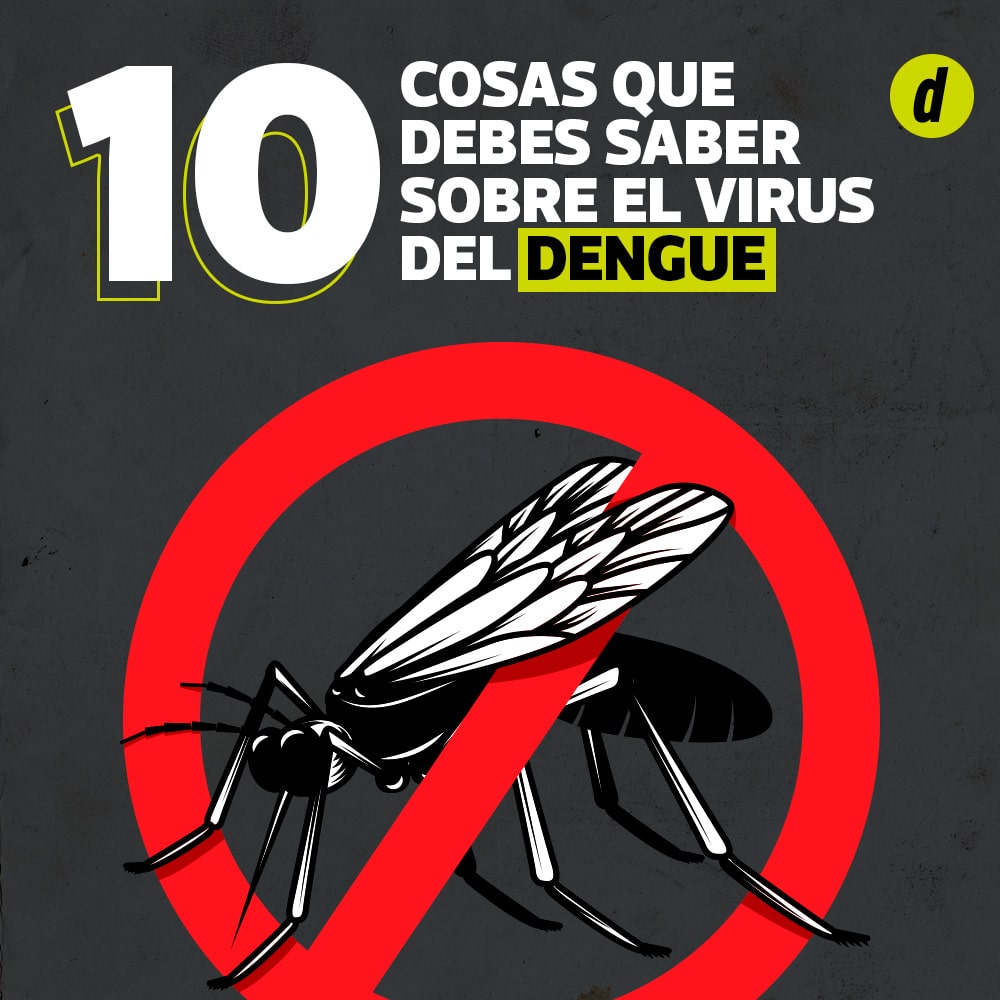 10 cosas que debes saber sobre el virus del dengue