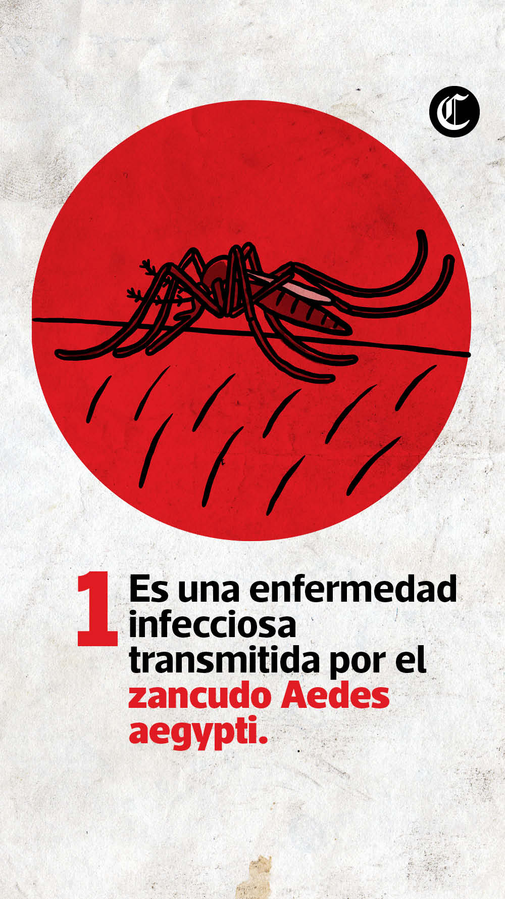 Zancudo Aedes aegypti